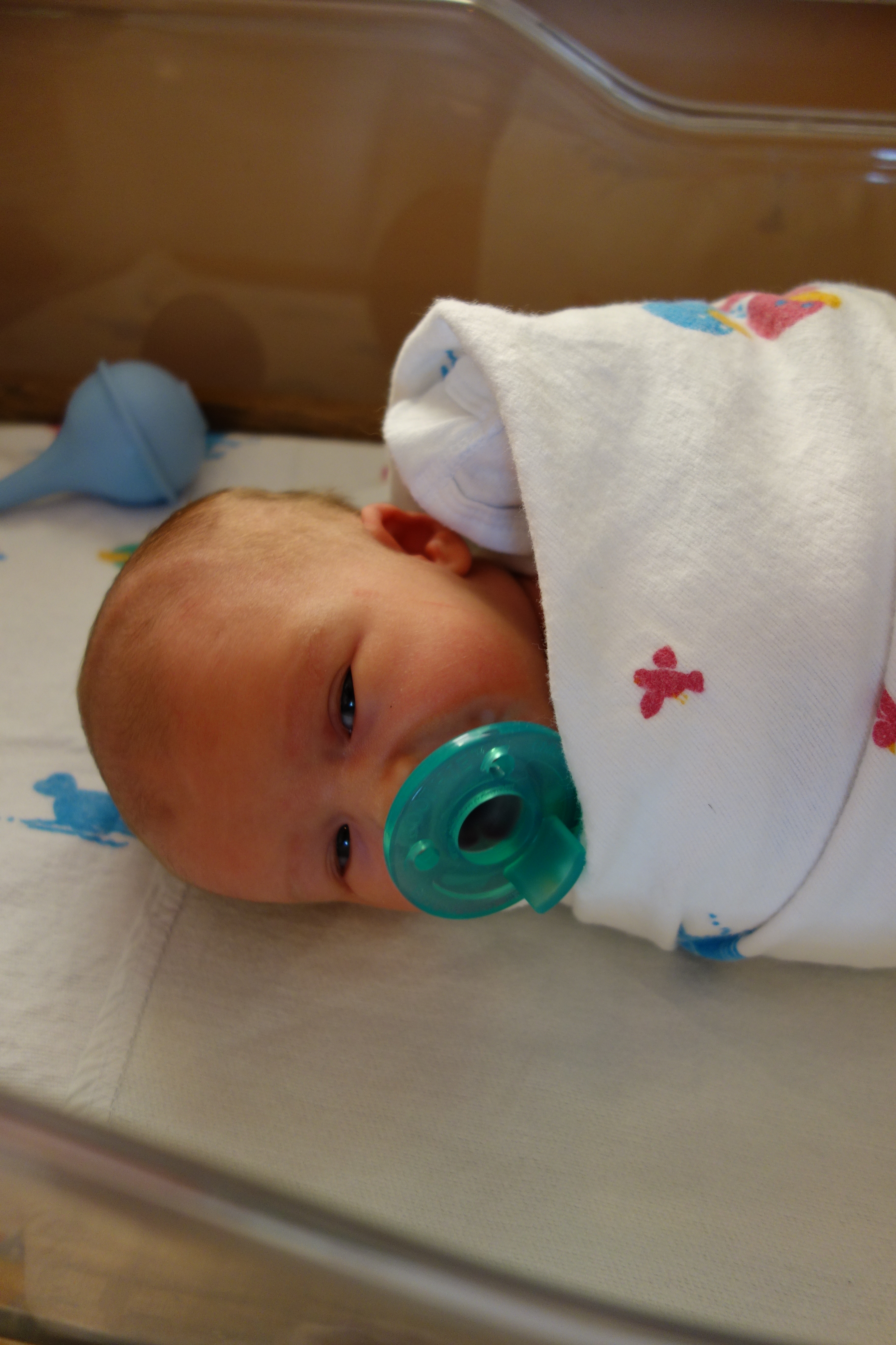 fet fertility fet fertility