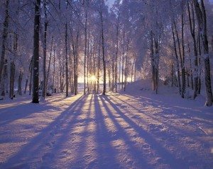 winter-sunrise-in-alaska