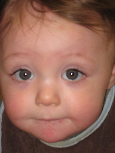 Dr. Rob's Success Story at CNY Fertility Center