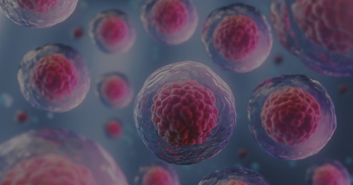 www.cnyfertility.com