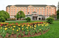 Hilton Garden Inn Albany Airport