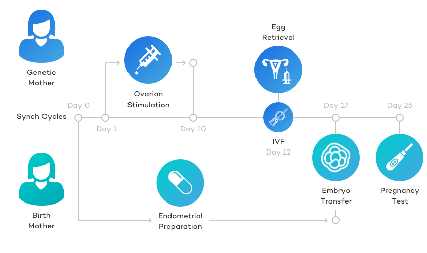 Reciprocal Ivf What It Is How It Works And What It Costs