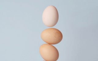 Donor Egg Cost: Analyzing The Average Cost of Donor Egg IVF & Financing Options