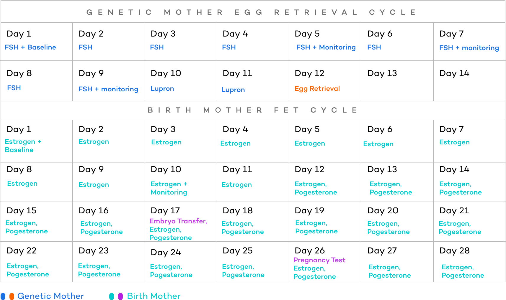 reciprocal ivf fet timeline