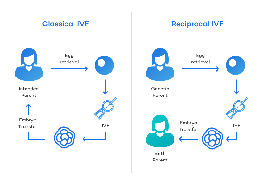 Classical vs Reciprocal IVF: How it Works