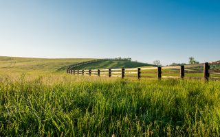 The Best Fertility Clinics in Kentucky
