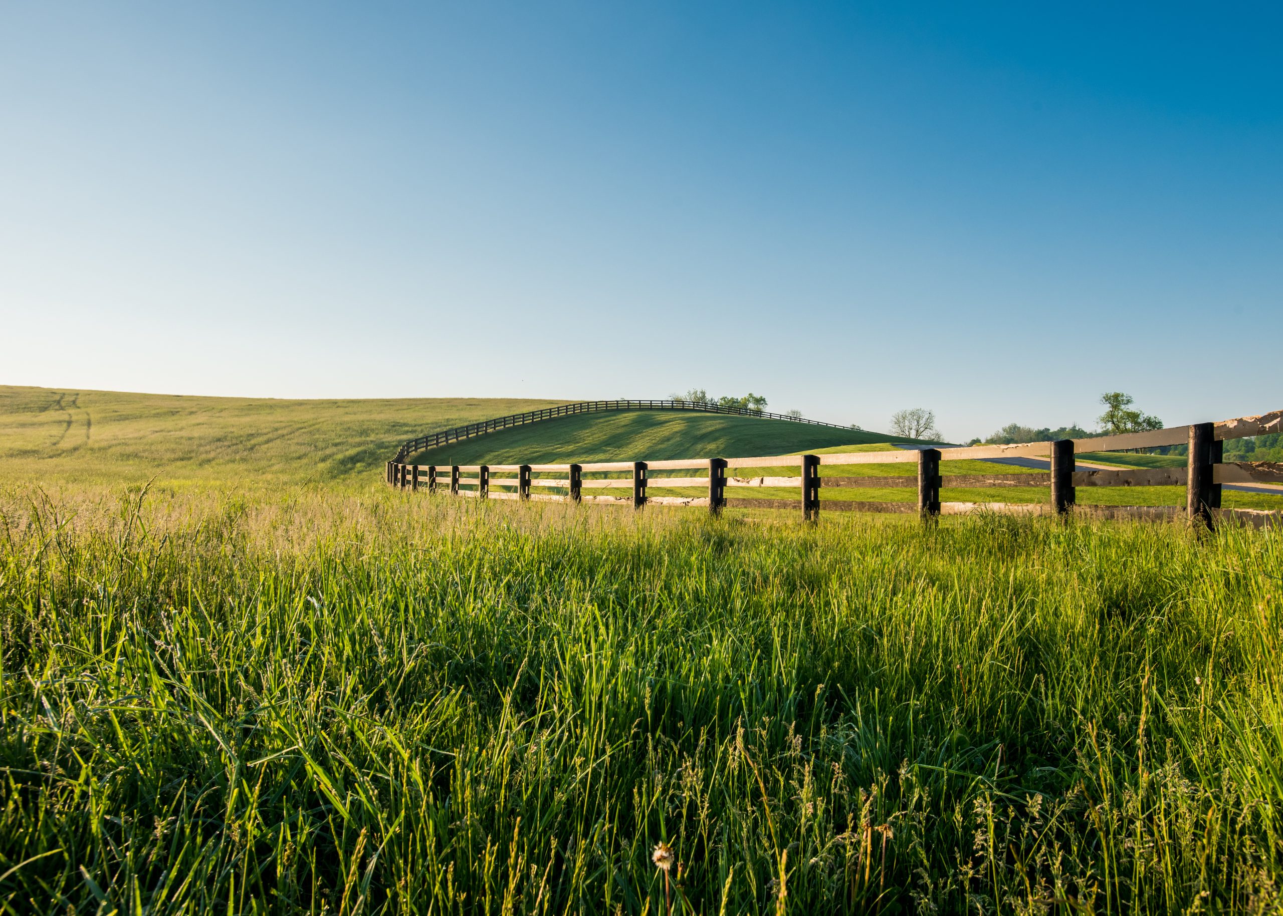 The Best Fertility Clinics in Kentucky