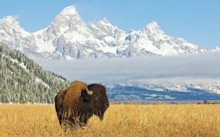 Fertility Clinics in Wyoming