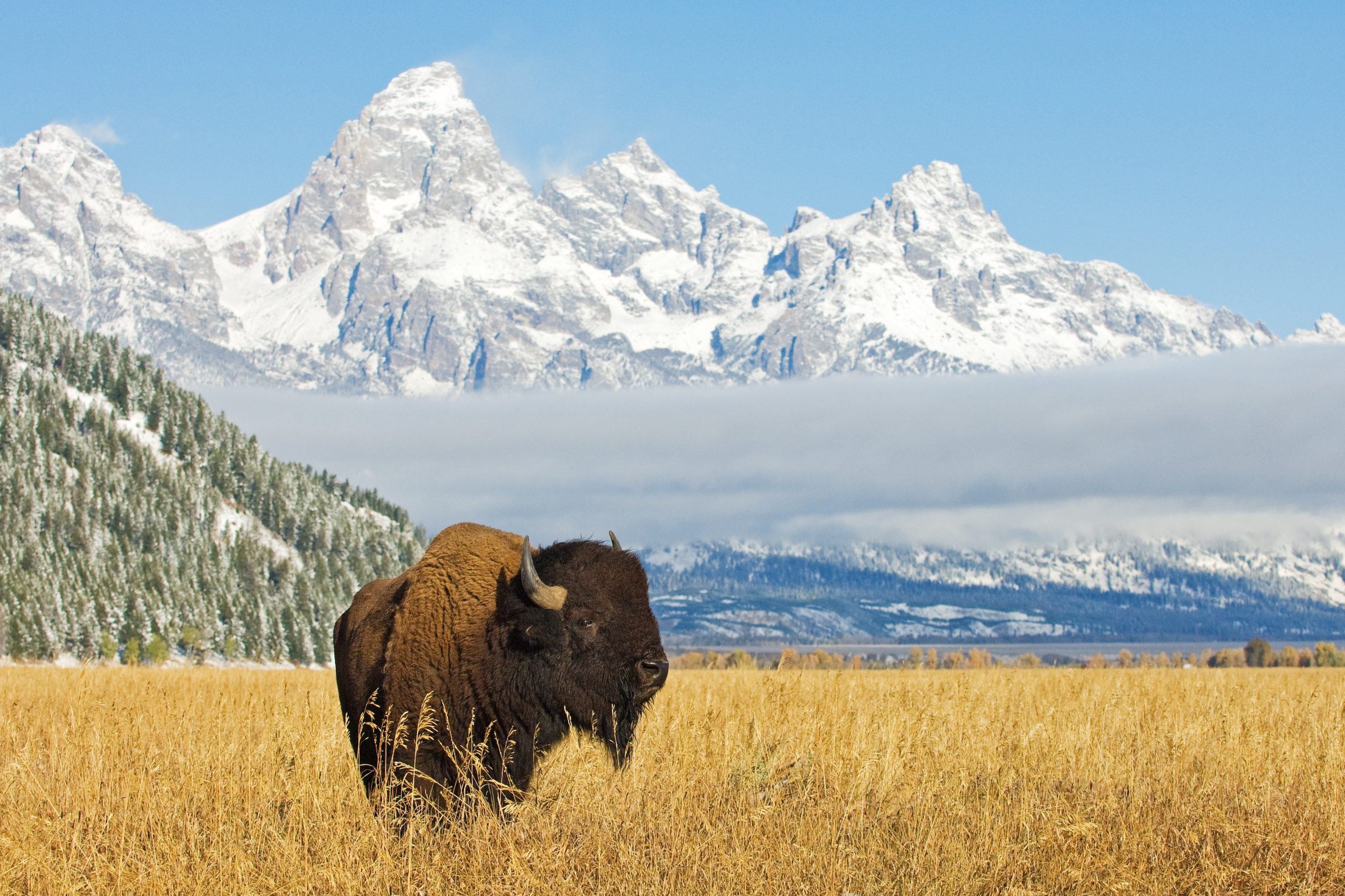 Fertility Clinics in Wyoming