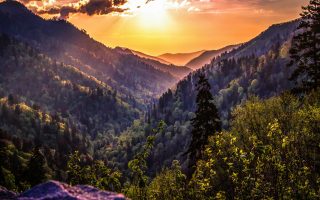 The Best Fertility Clinics in Tennessee