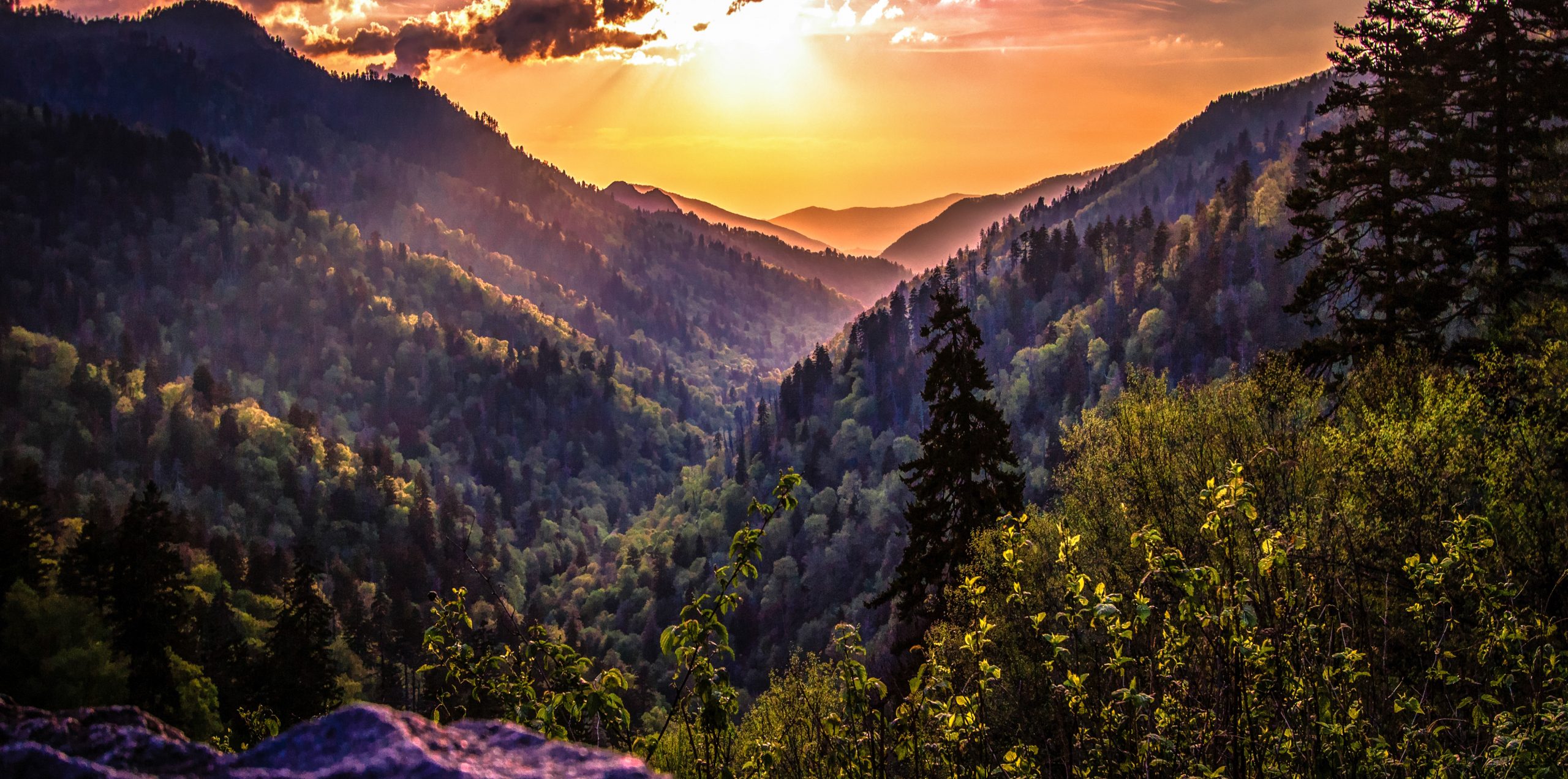 The Best Fertility Clinics in Tennessee