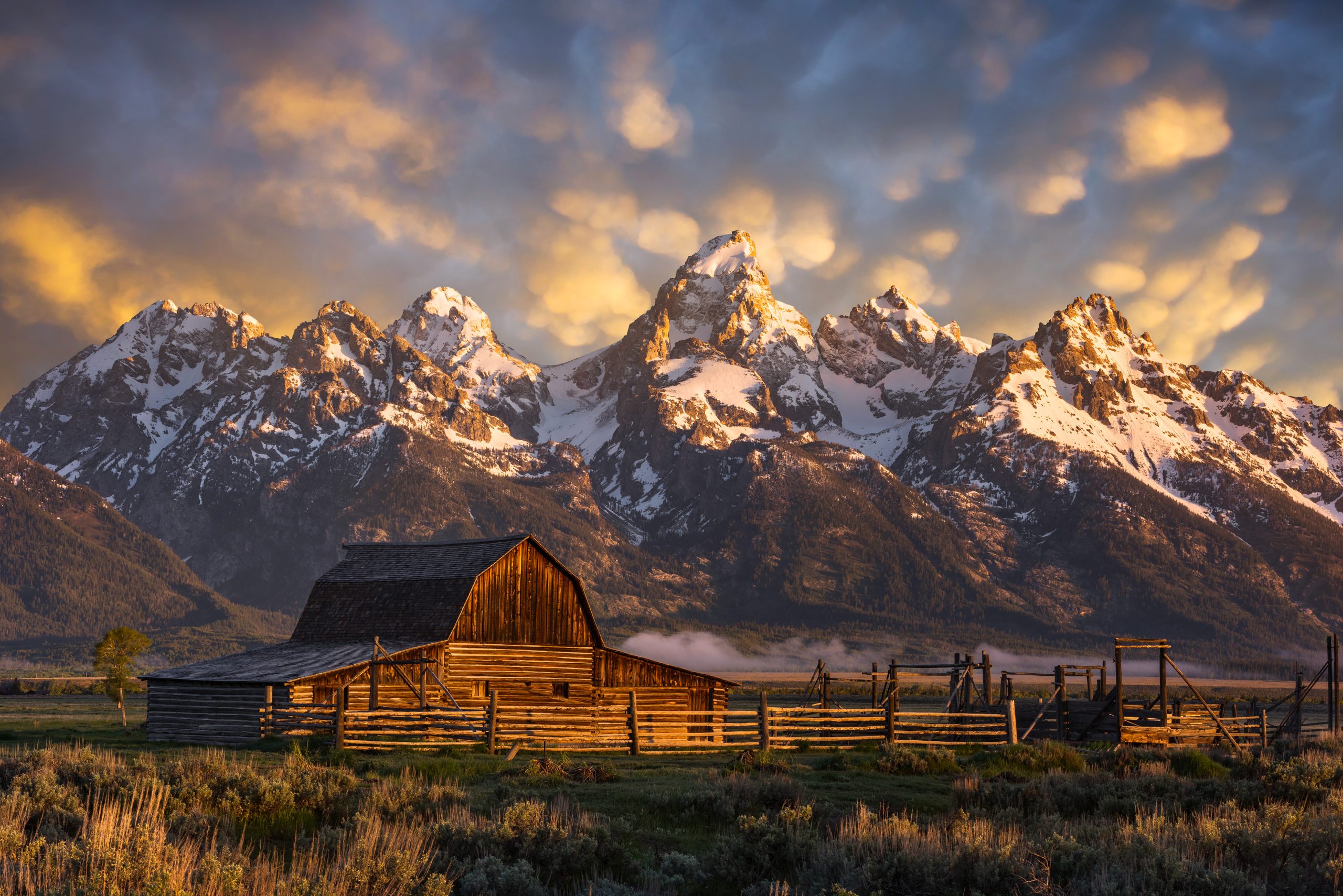 What Does IVF Cost in Wyoming?
