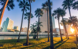 How Much Does IVF Cost in Tampa Florida?