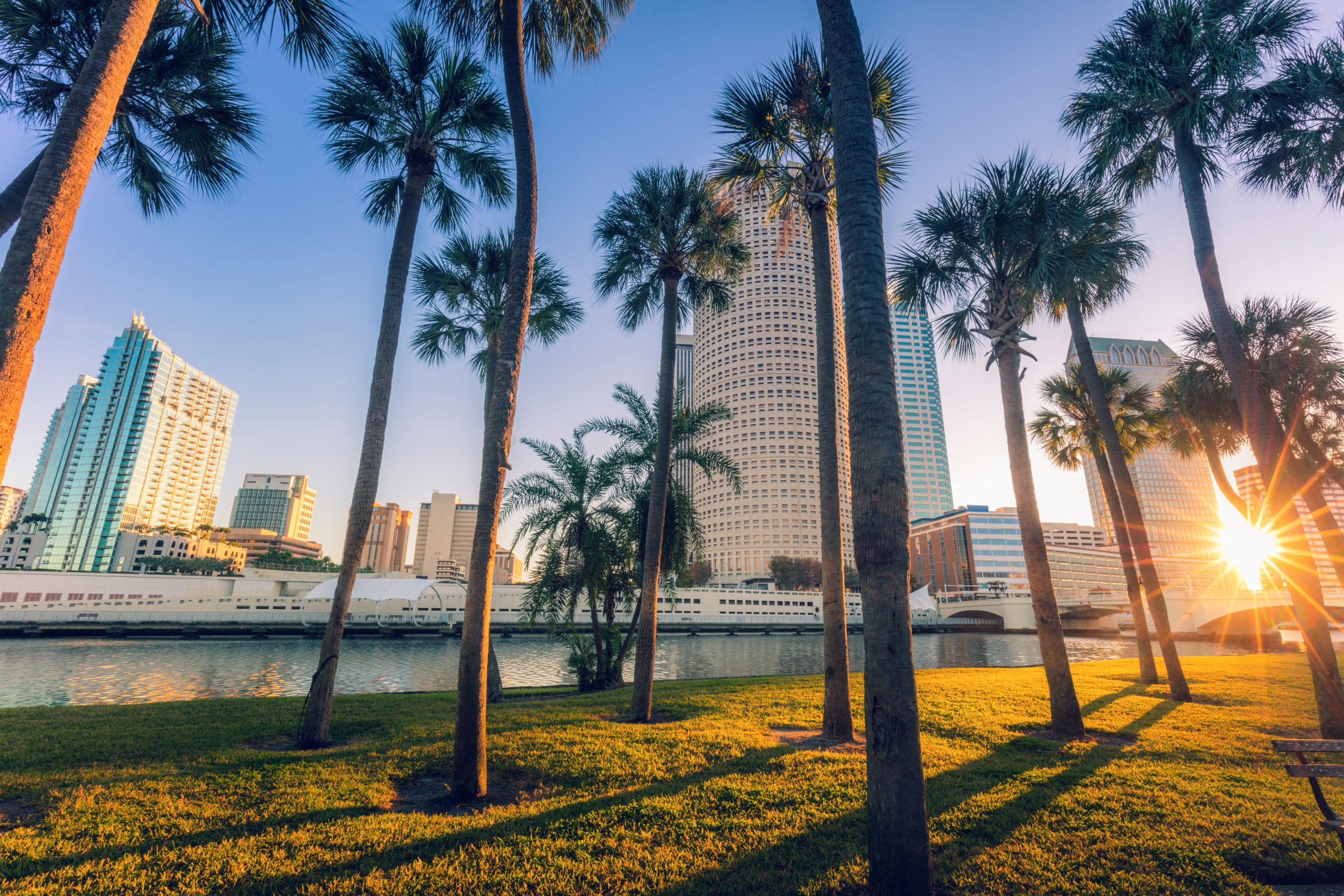How Much Does IVF Cost in Tampa Florida?