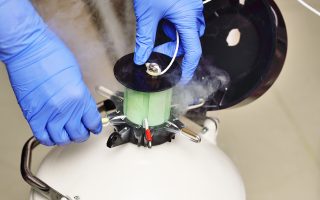 Embryo Banking: What It Is, Who It’s For, and How Many Embryos to Bank