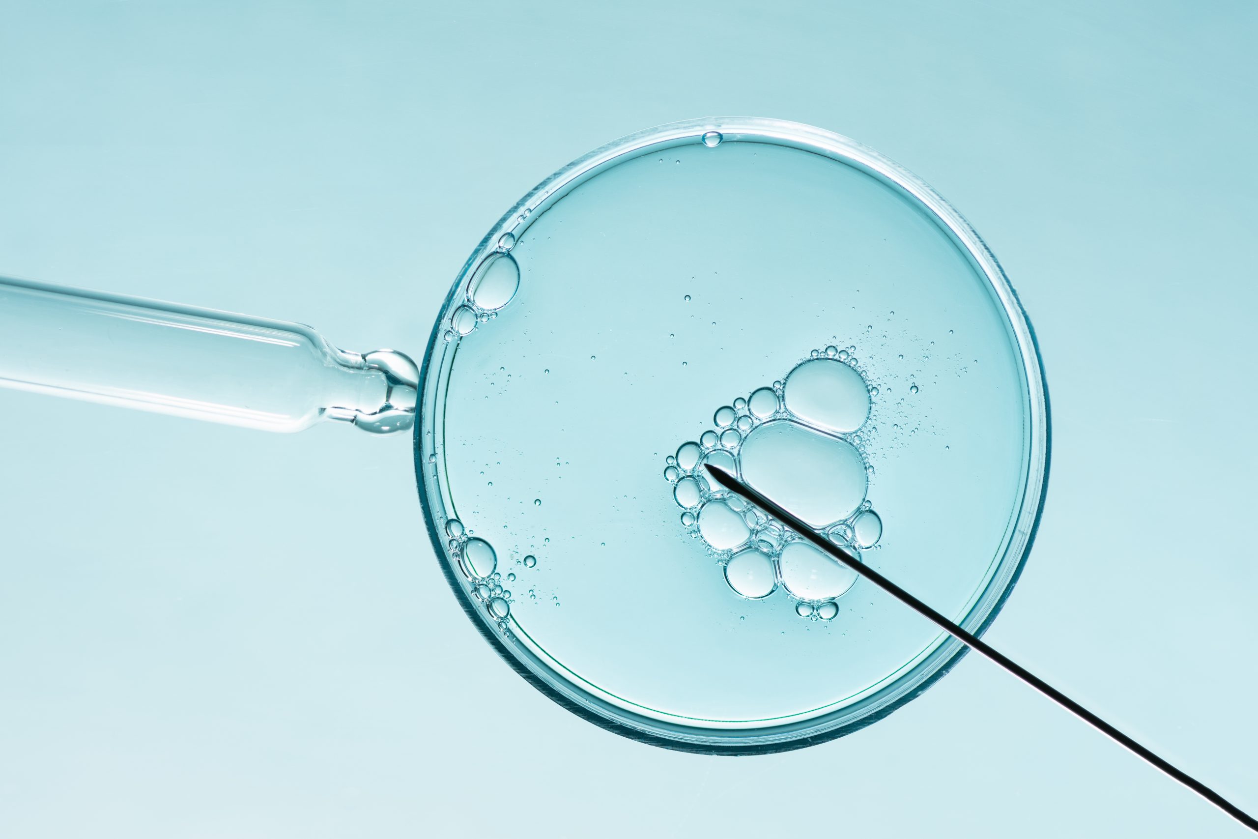 What Are the Risks of IVF?