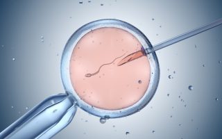 Everything You Need to Know about Discounted IVF