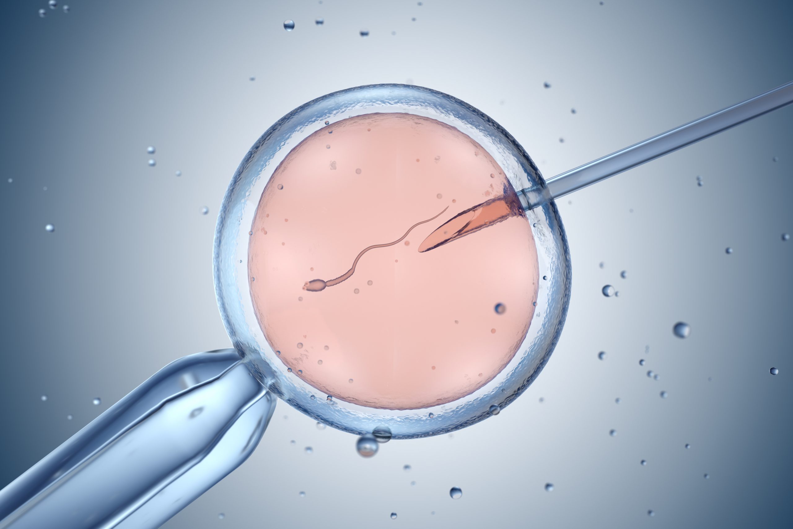 Everything You Need to Know about Discounted IVF