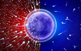What Is a Good Post-Wash Sperm Count for IUI? 