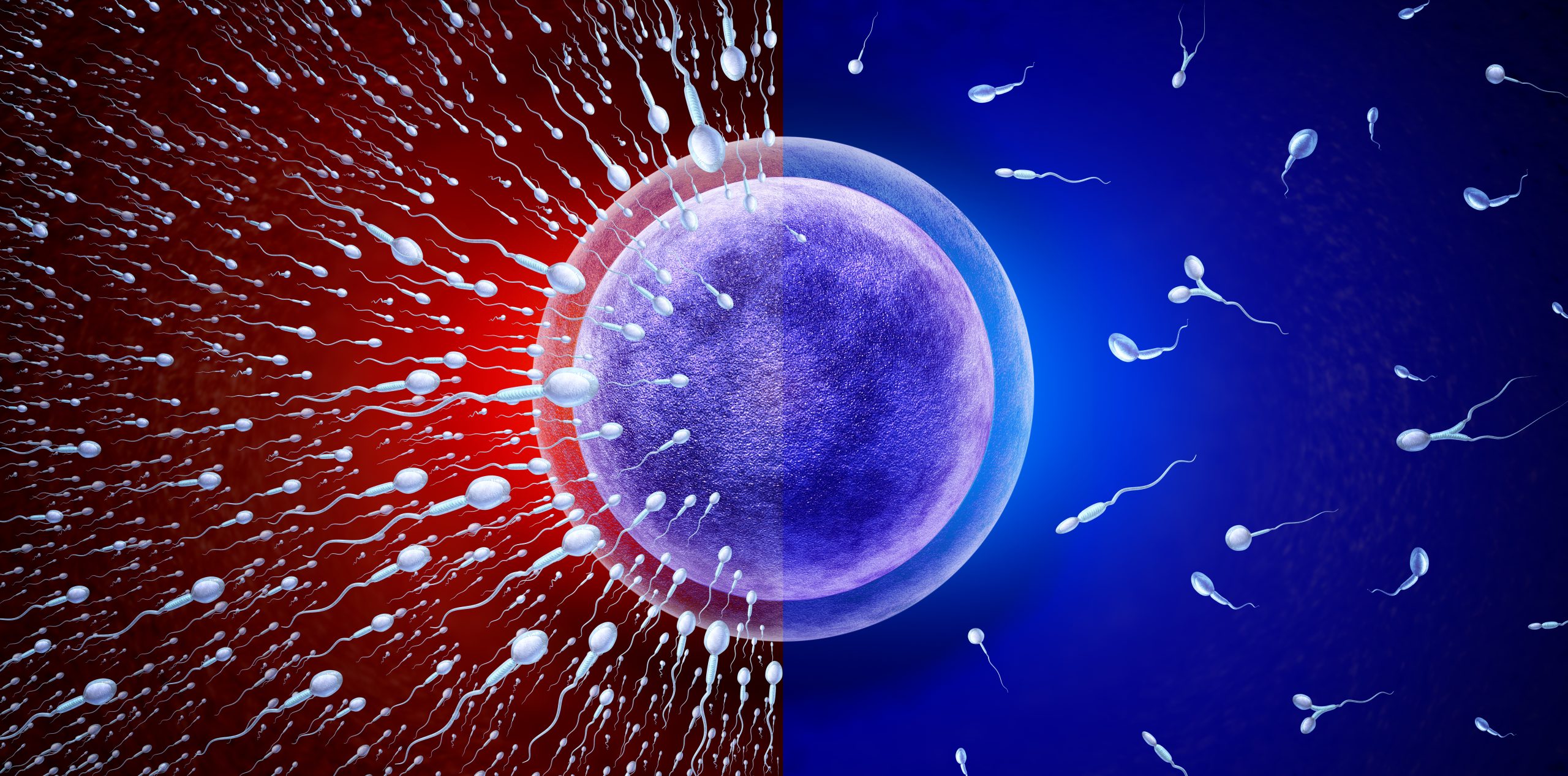 What Is a Good Post-Wash Sperm Count for IUI?