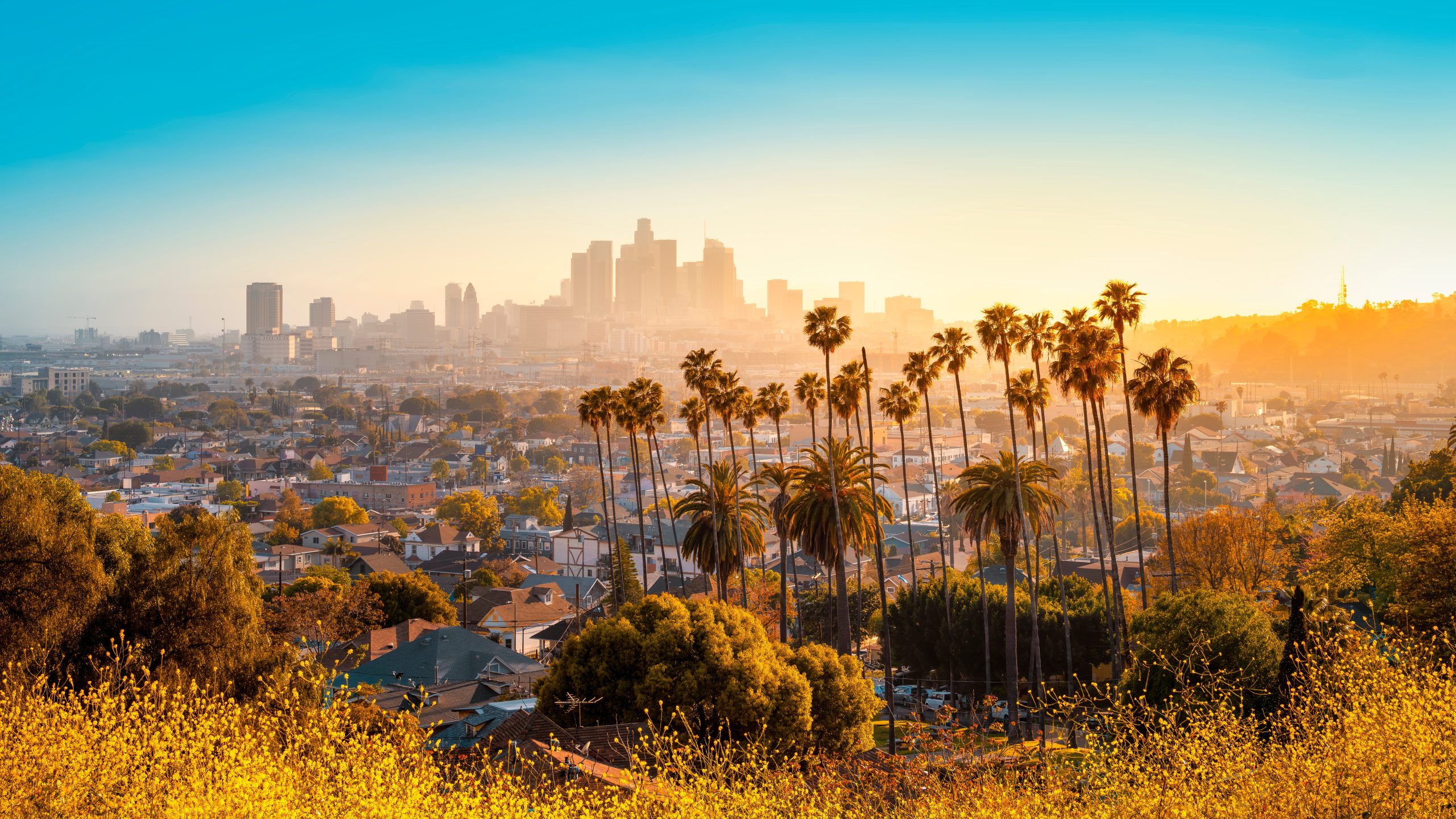 How Much Does IVF Cost in Los Angeles?