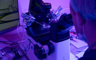 IVF Genetic Testing Pros and Cons: A Complete Guide to PGT-A, PGT-M, and PGT-SR