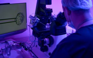 Can IVF Prevent or Test for Autism?