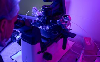 Can IVF Prevent or Screen for Down Syndrome?