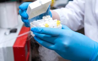 Frozen Embryo Transfer (FET) Cost: What You Need to Know