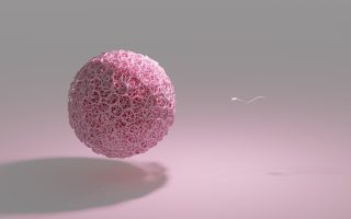 How to Improve Egg Quality for IVF