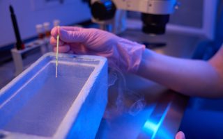Frozen Embryo Transfer Timeline: What to Expect Step by Step