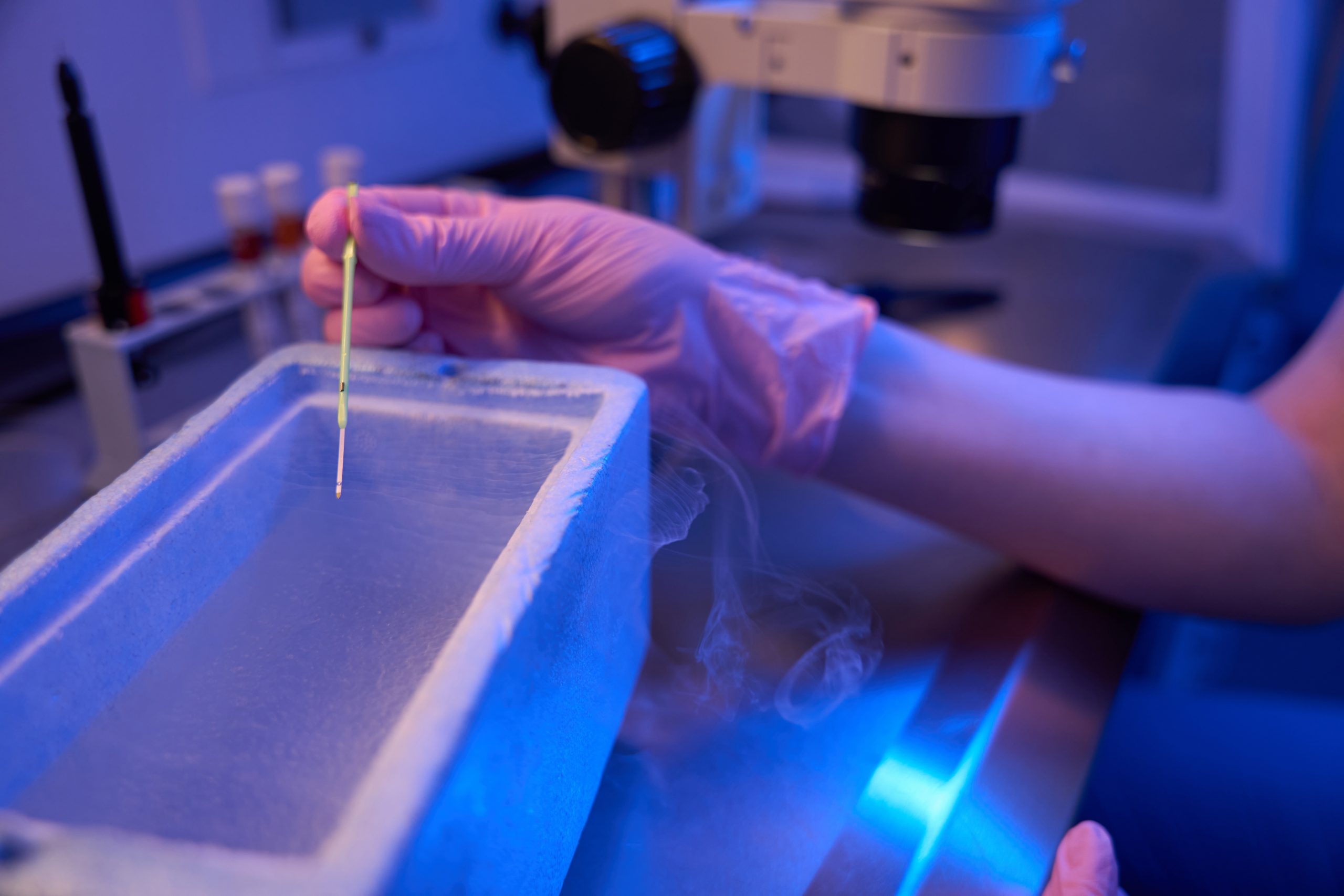 Frozen Embryo Transfer Timeline: What to Expect Step by Step