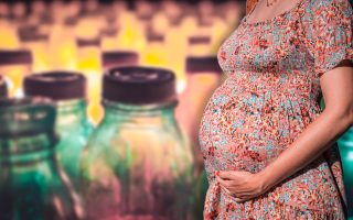 Phthalates and Fertility: What You Need to Know 