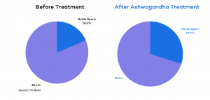 Can Shilajit Really Boost Male Performance and Well-being?
