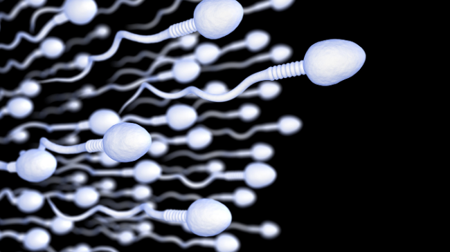 Sperm Com