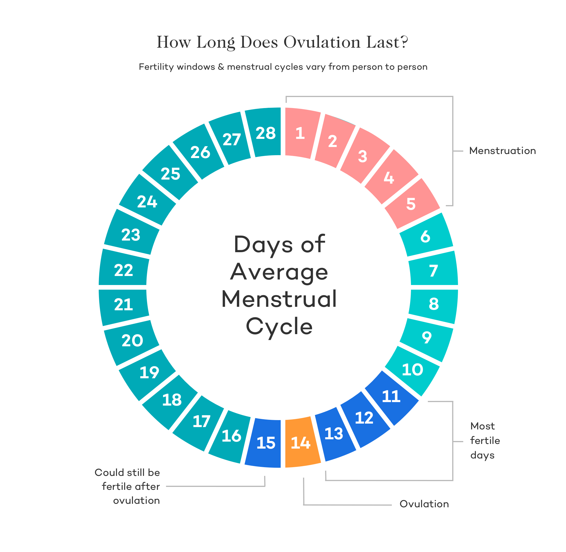 Fertile Window - Ovulation Calendar