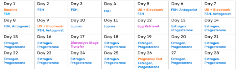 Fresh Embryo Transfer Schedule