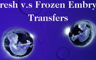 Fresh and Frozen Embryo Transfers