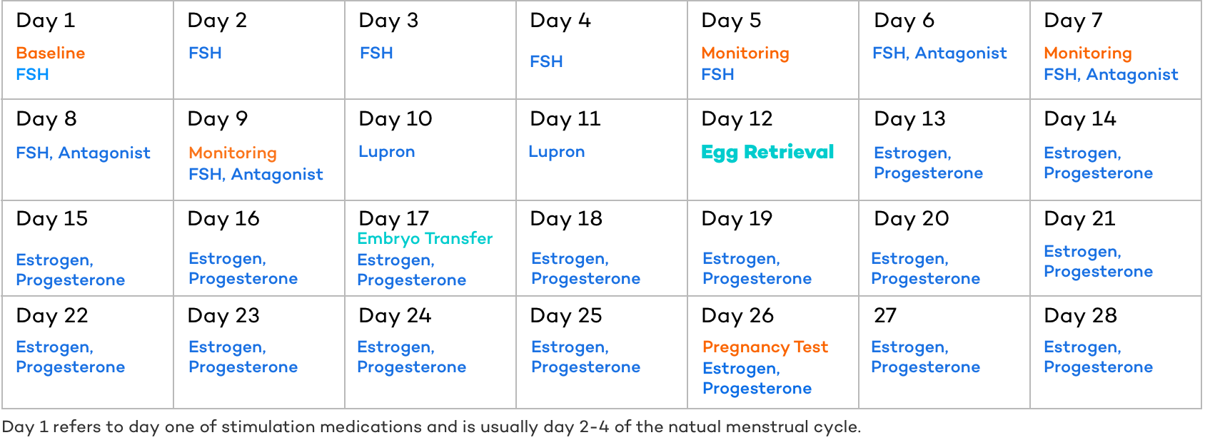 IVF Process Calendar