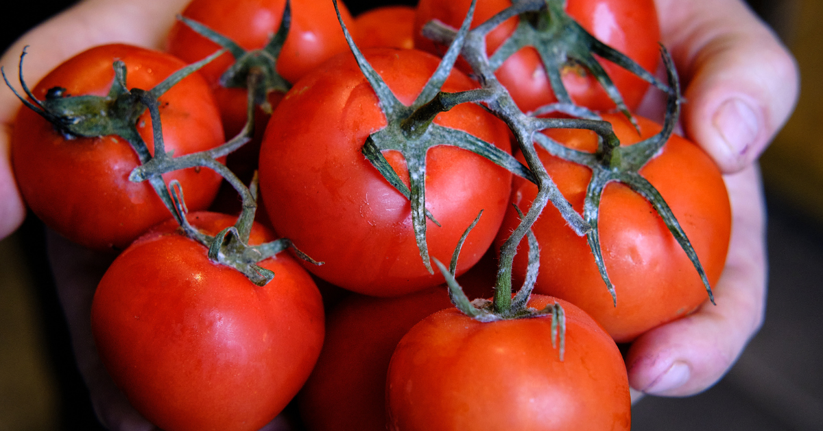 Lycopene Benefits for Sperm