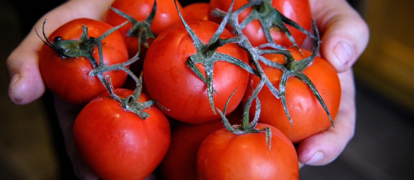 Lycopene Benefits for Sperm