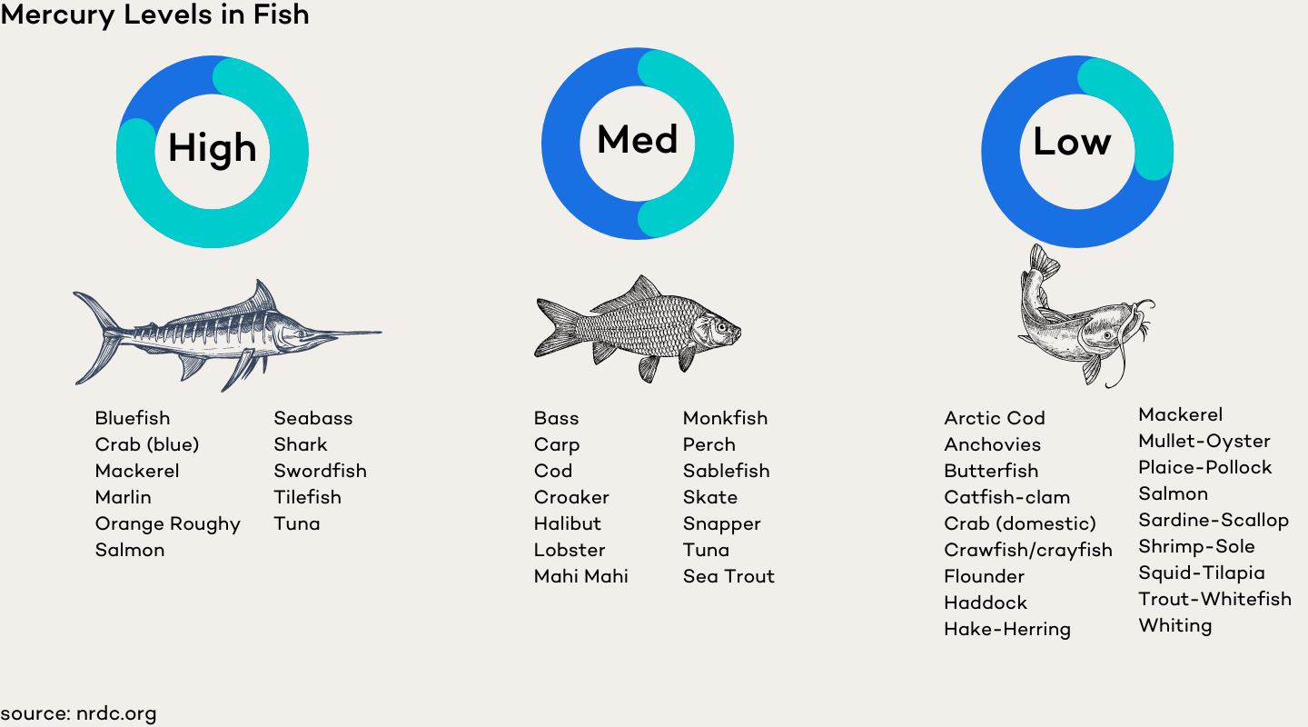 List of High, Medium, and Low Mercury Levels in Fish