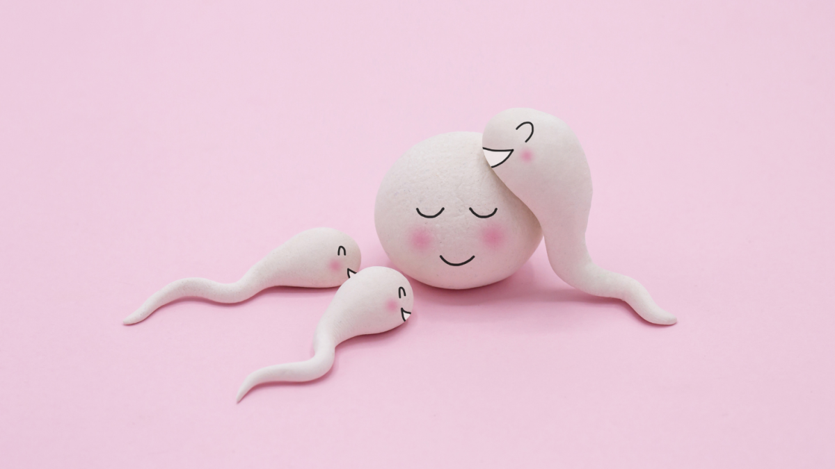The Essential Guide to Improving Your Fertility Naturally