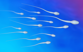 How to Increase Sperm Motility