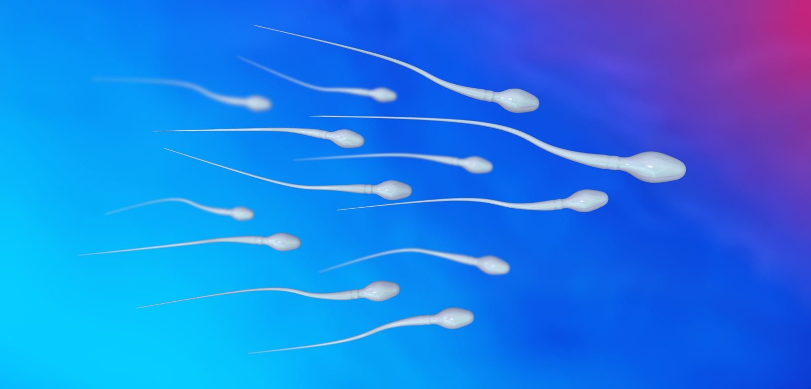 Sperm Motility