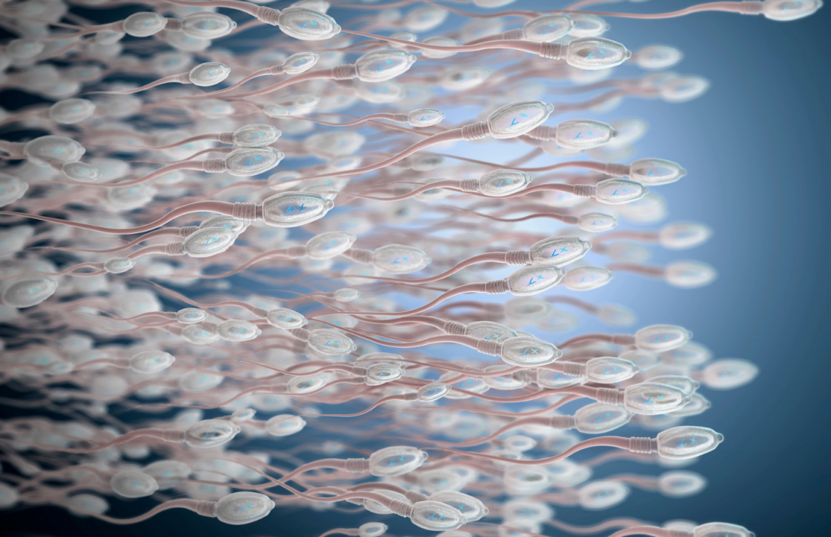 Free online gang bang Increasing sperm count with electrical fields
